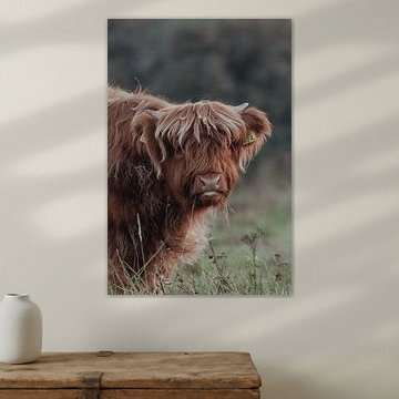 Scottish Highlanders in the Dutch Dunes