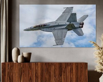 Flyby U.S. Navy F-18 Rhino Demo Team. van Jaap van den Berg