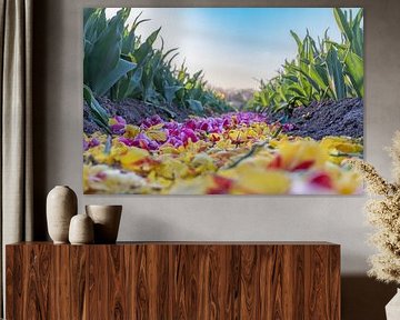 Bunte Tulpen liegen schalenförmig auf dem Boden.
