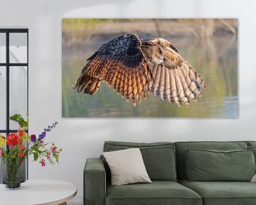 Vliegende oehoe van Aandenken in Beeld