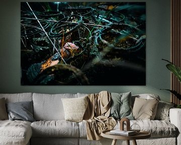 Verstrengelde natuur - Roestige spiralen in beeld van InfiniteArtLabs