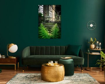 Green ferns in an abandoned factory - a place between nature and industry by InfiniteArtLabs