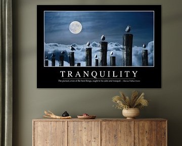 STK107212M-Tranquility: Inspirerende en motiverende poster