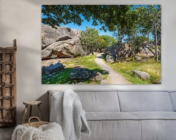 Hiking trail on the archipelago island of Monsøya in Norway by Rico Ködder
