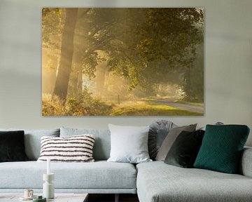 Zonneharpen boven een landelijke weg met hek van KB Design & Photography (Karen Brouwer)