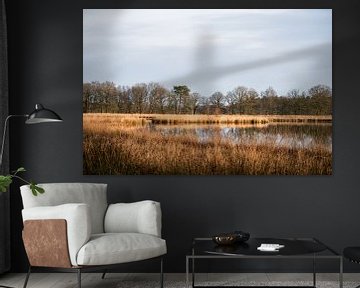 Meertje op de heide van Anna Koek