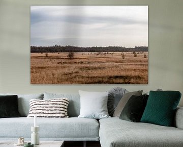 Heathland in winter by Anna Koek