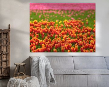 Tulp van Peter Ligtvoet
