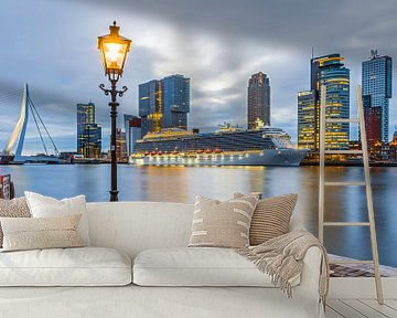 De skyline van Rotterdam met cruiseschip Royal Princess van MS Fotografie | Marc van der Stelt