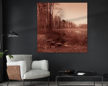 Stille Oversteek van Artist Impression of Nature