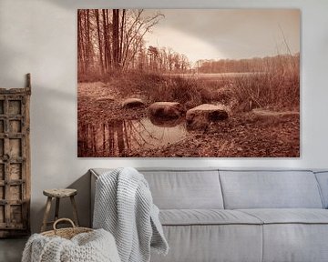 Stille Oversteek van Artist Impression of Nature