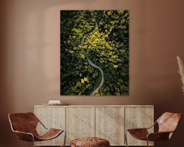 the snake in the mountains by Britt Spee