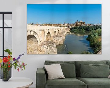 Sonniger Tag an der Mezquita und der römischen Brücke von Joke Van Eeghem