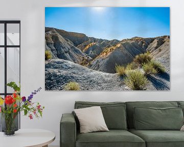 Prachtig landschap in de Tabernas woestijn van Joke Van Eeghem