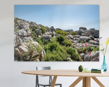 Prachtig uitzicht op El Torcal van Joke Van Eeghem