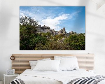 Iberische steenbokken in het unieke landschap van El Torcal van Joke Van Eeghem