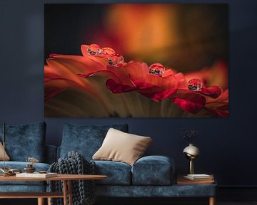 Colourful water drops by Robby's fotografie