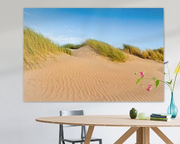 dunes le long de la côte néerlandaise sur gaps photography