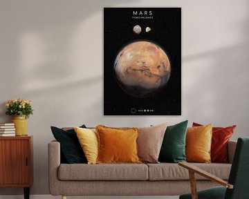 De Rode Planeet: Mars en zijn manen van Hazen Rocky