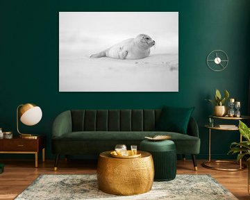Phoque sur la plage de Texel sur Ronald Timmer