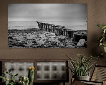 Buns on the beach in black and white by Bild.Konserve