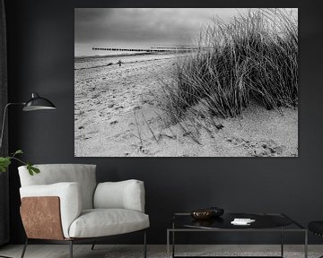 Duingras op een natuurlijk strand van Bild.Konserve
