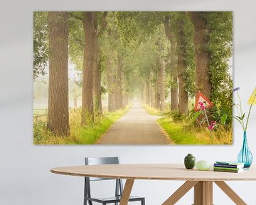 Smal landweggetje met bomen in Drenthe van KB Design & Photography (Karen Brouwer)