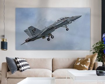U.S. Navy F/A-18 Rhino Demo Team. von Jaap van den Berg