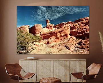 Spectaculair landschap in Quebrada de las Conchas van Frank Photos