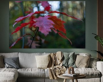 Blad in herfstkleuren
