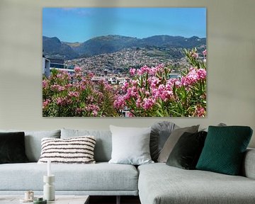 Blick auf Funchal