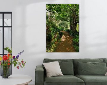 Wanderweg auf Madeira