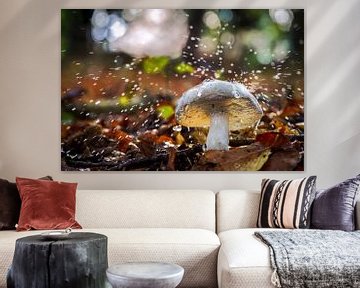 Een witte buisjes zwam in een magisch herfstbos. van Fotografiecor .nl