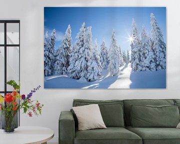 Winterlandschap "Winter Wonderland " van Coen Weesjes
