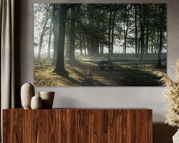 In de stille momenten van Mart Houtman