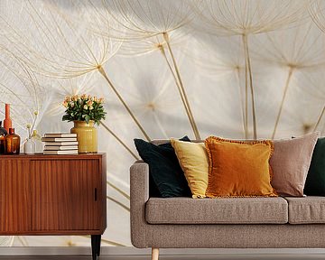 Natural colours: The fluffy bulb of a Tragopogon by Marjolijn van den Berg