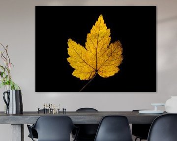 Details en herfstkleuren van Ronald Buitendijk Fotografie