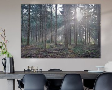 Zonneharpen in het bos... van Ans Bastiaanssen