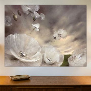 Volatile - pavot blanc__