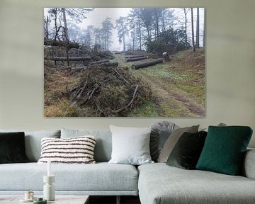 Dwingelderveld - Drenthe (Niederlande) von Marcel Kerdijk