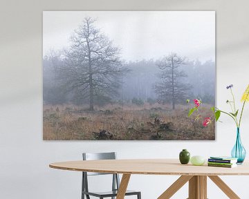 Dwingelderveld - Drenthe (Niederlande) von Marcel Kerdijk