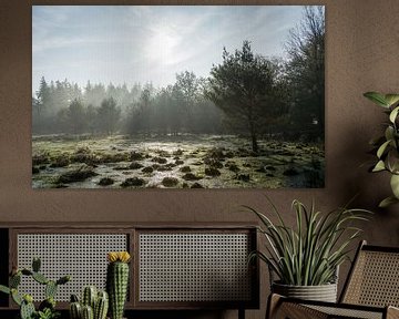 De ochtend begint in prachtige natuur van Mart Houtman
