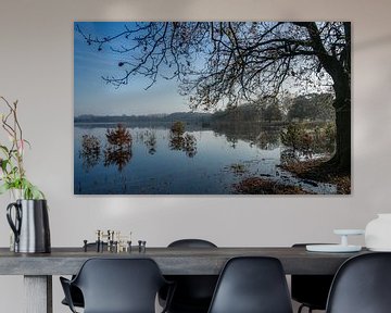Vlak water in het bosmeer