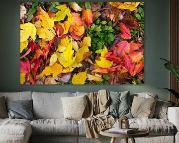 Autumn foliage in the garden by Claude Laprise