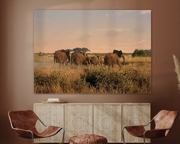 Elephant herd at sunrise in Amboseli NP in Kenya by Aagje de Jong