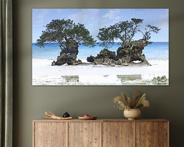 Mangrove trees on beach of Pemba island in Tanzania by Aagje de Jong