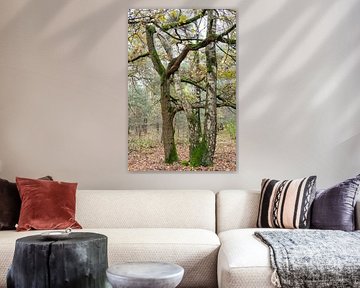 Embracing trees