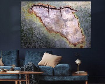 World map in an agave leaf by Betty van Engelen