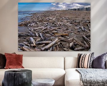 Das Meer wirft tote Muscheln zurück auf den Strand