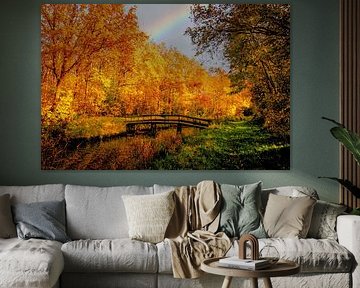 Forêt d'automne sous l'arc-en-ciel sur Vivian Kramer